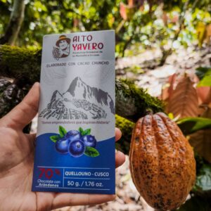 Chocolates Bitter - Arandanos